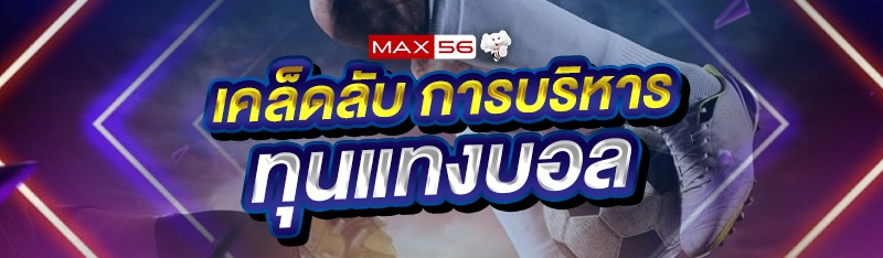 การบริหารทุนแทงบอล